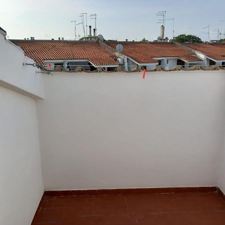 Roma A Un Passo E Il Mare In Casa Apartment Marina di Cerveteri Bagian luar foto