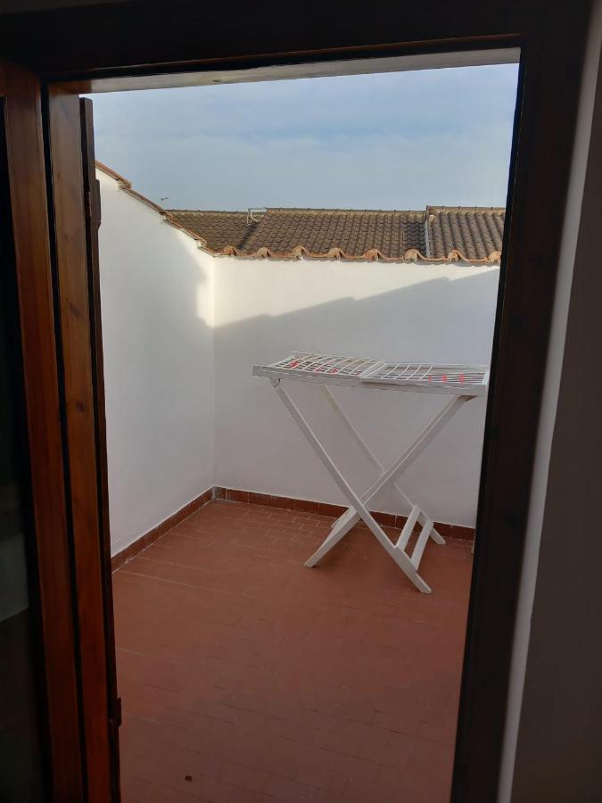 Roma A Un Passo E Il Mare In Casa Apartment Marina di Cerveteri Bagian luar foto