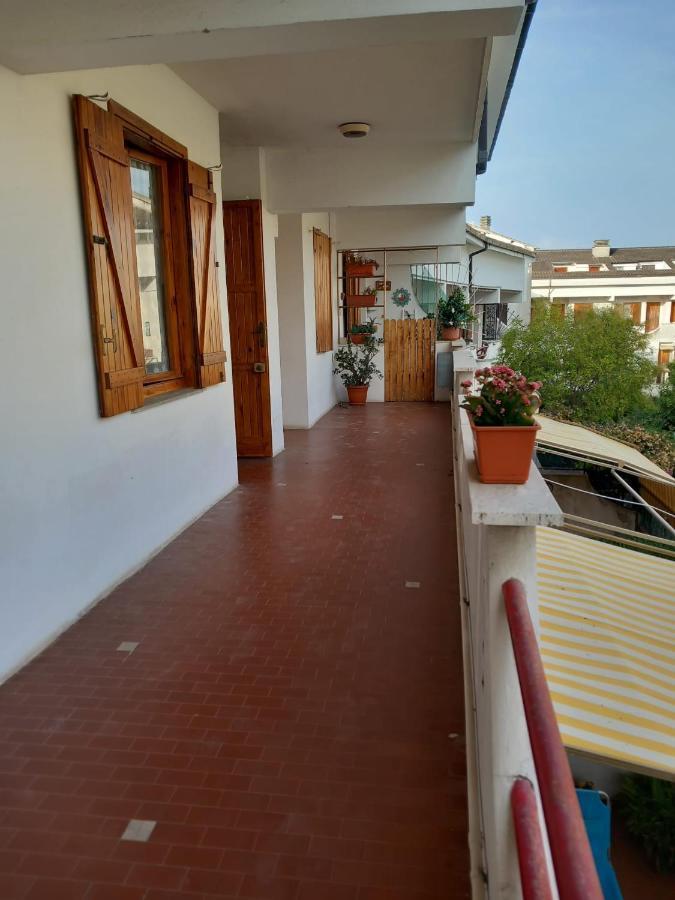 Roma A Un Passo E Il Mare In Casa Apartment Marina di Cerveteri Bagian luar foto